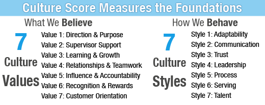 Culture Score Measures